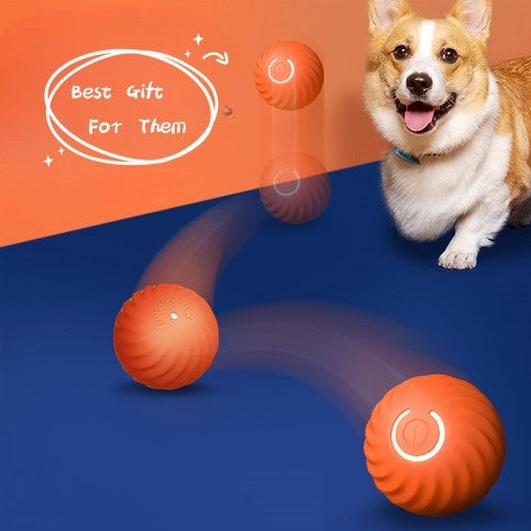 Interactive Dogs Ball Toy